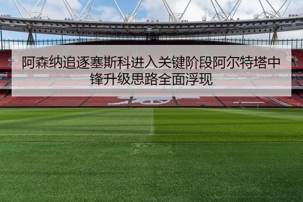 阿森纳追逐塞斯科进入关键阶段阿尔特塔中锋升级思路全面浮现